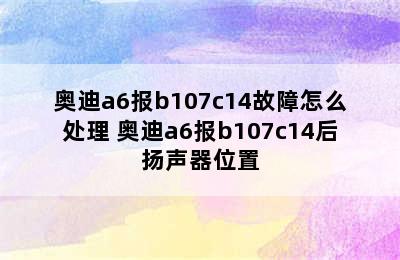 奥迪a6报b107c14故障怎么处理 奥迪a6报b107c14后扬声器位置